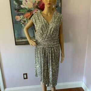 Express XL Dress
